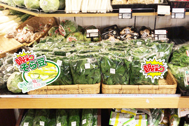 販促委託依頼対応