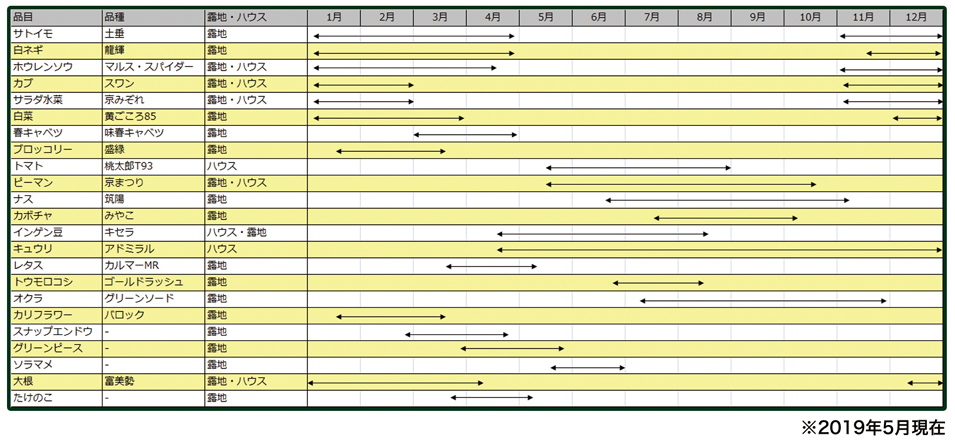 販売スケジュール